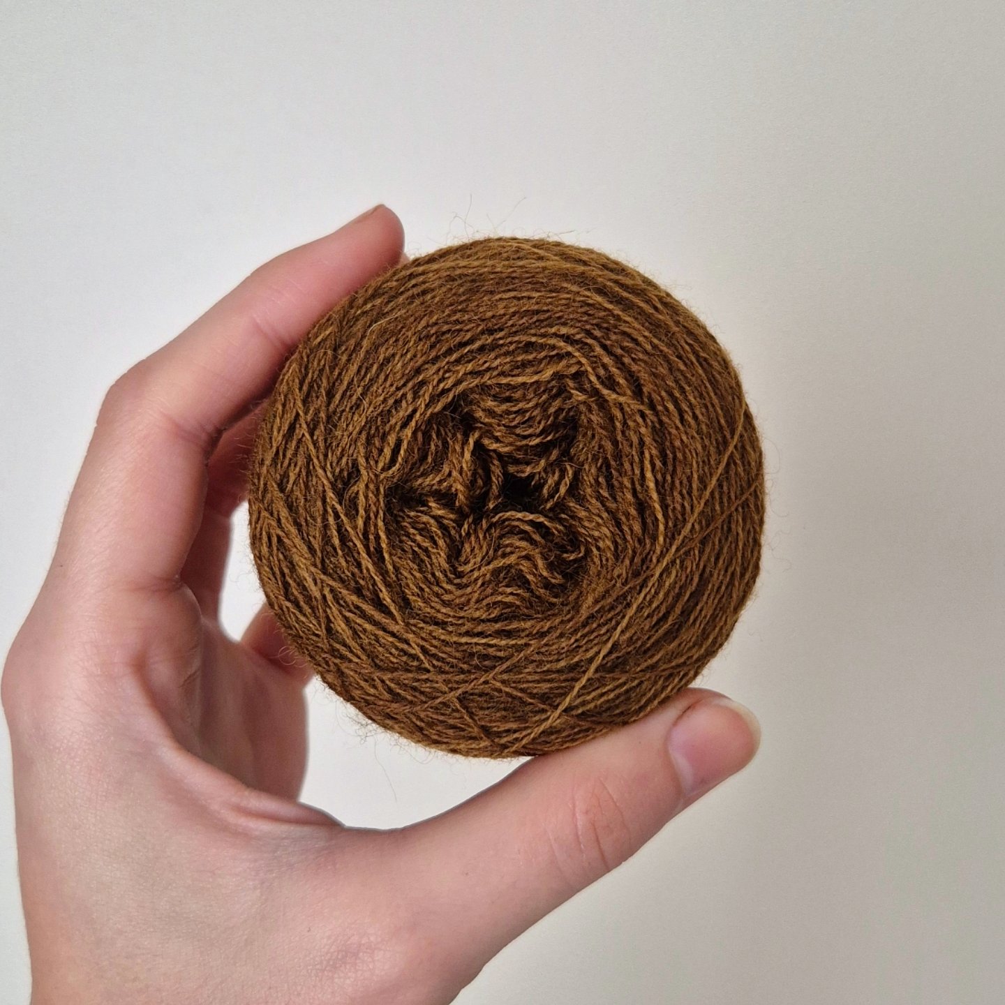 IMG_20251104_020142_344