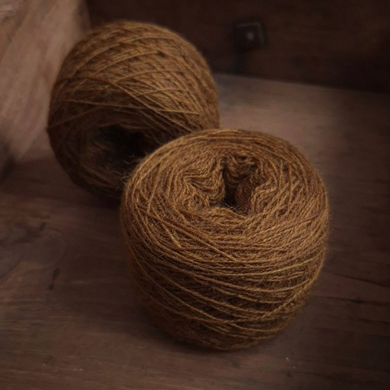 IMG_20251106_001306_866comp