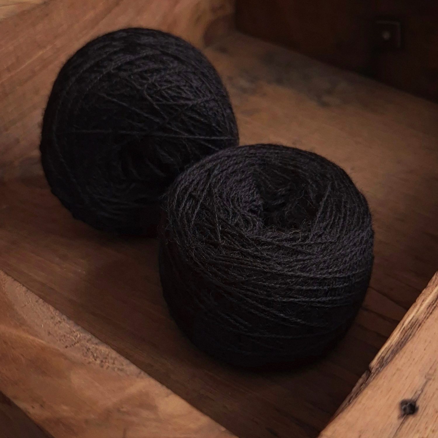 IMG_20251106_001704_394comp