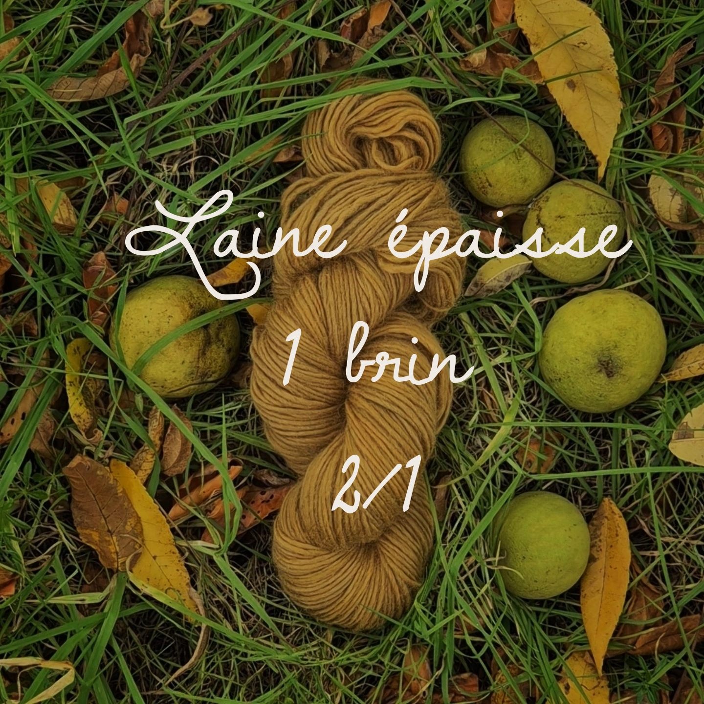 imagecategorielaine1brin2-1comp Pinnsvin Studio boutique - laine mèche épaisse 1 brin teintures naturelles